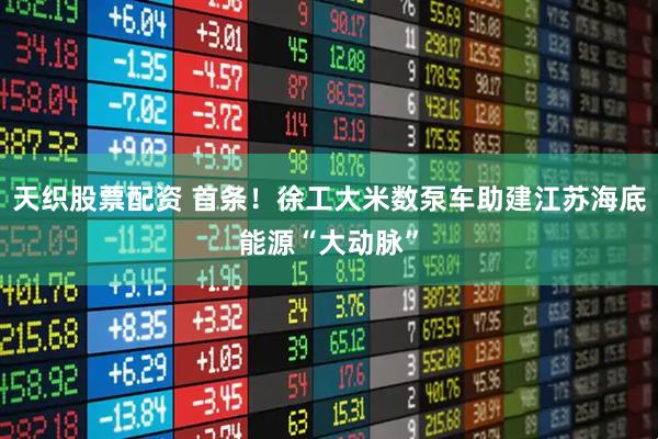 天织股票配资 首条！徐工大米数泵车助建江苏海底能源“大动脉”