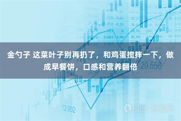 金勺子 这菜叶子别再扔了，和鸡蛋搅拌一下，做成早餐饼，口感和营养翻倍