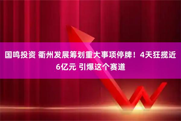 国鸣投资 衢州发展筹划重大事项停牌！4天狂揽近6亿元 引爆这个赛道