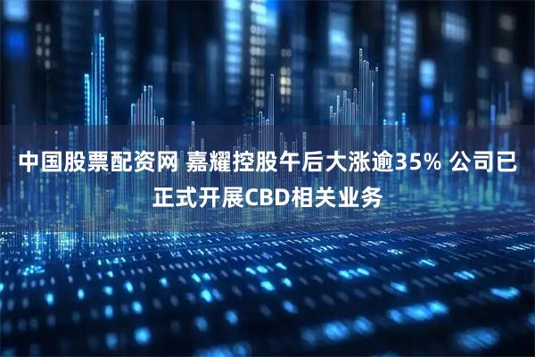 中国股票配资网 嘉耀控股午后大涨逾35% 公司已正式开展CBD相关业务