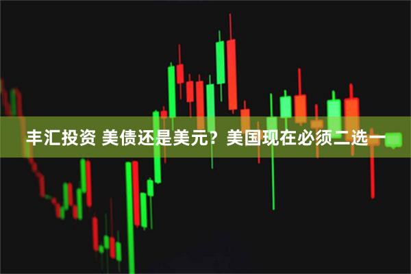 丰汇投资 美债还是美元？美国现在必须二选一